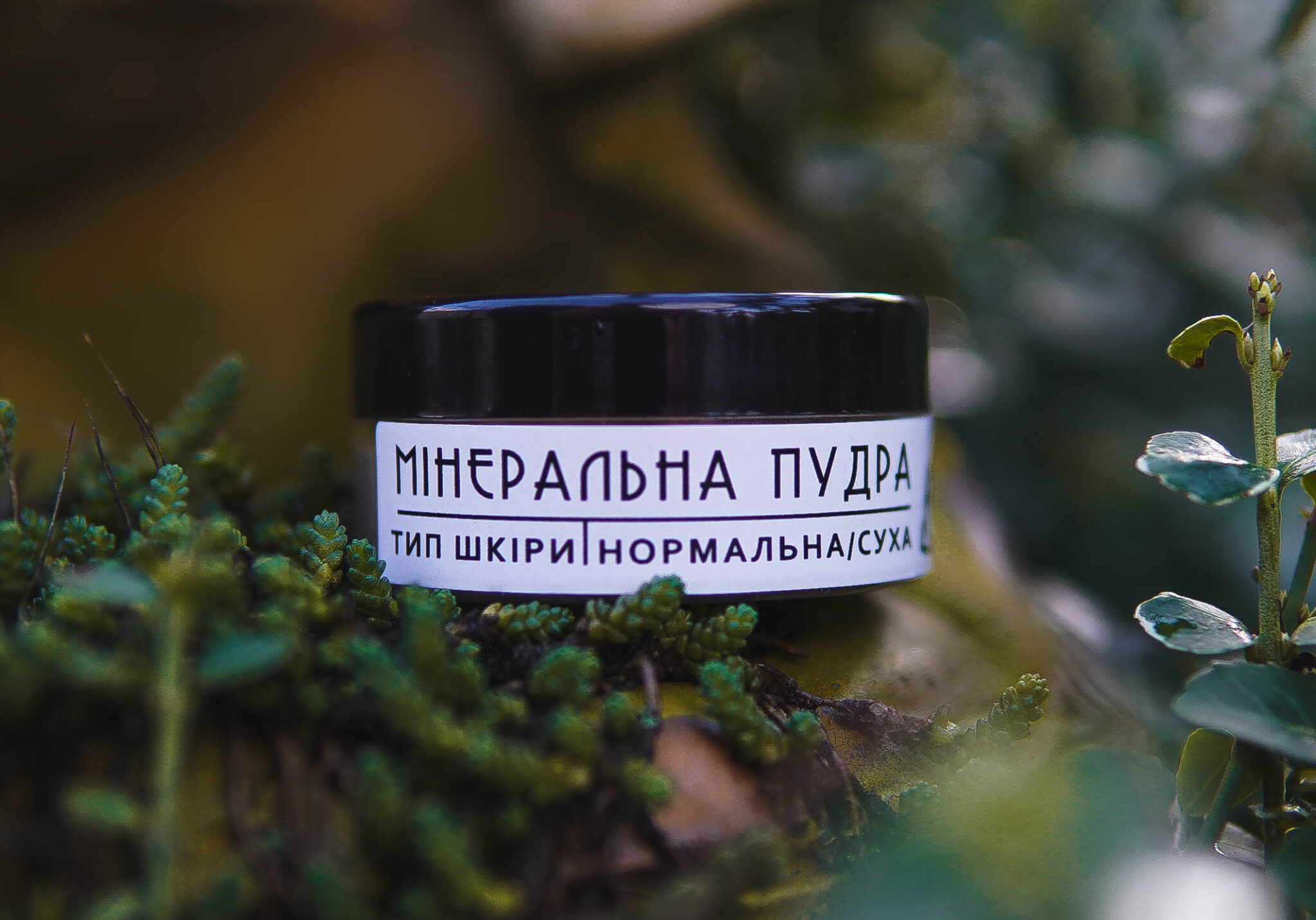 Мінеральна пудра для сухої та нормальної шкіри купити від Надприродна™